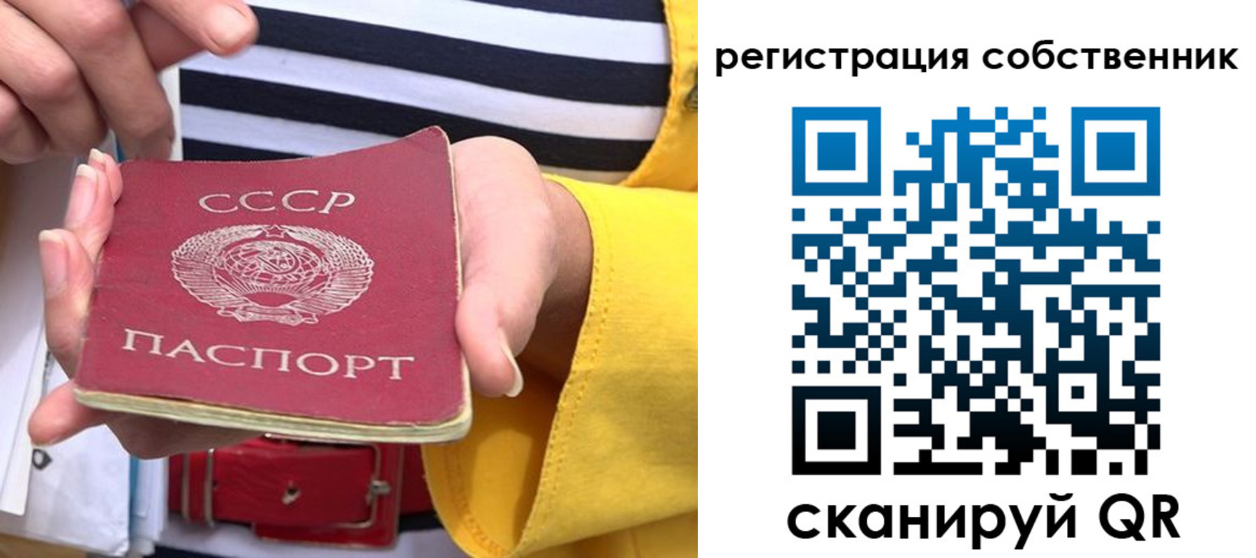 временная прописка в Струнино